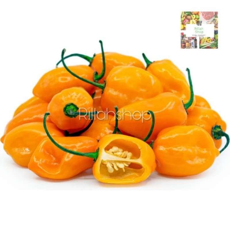 Agen Habanero Terjitu: Tempat Terbaik untuk Mendapatkan Produk Habanero Terbaik